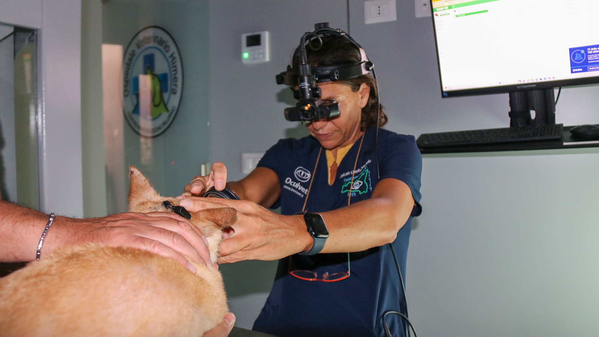 cane con cataratta curato alla clinica veterinaria Himera