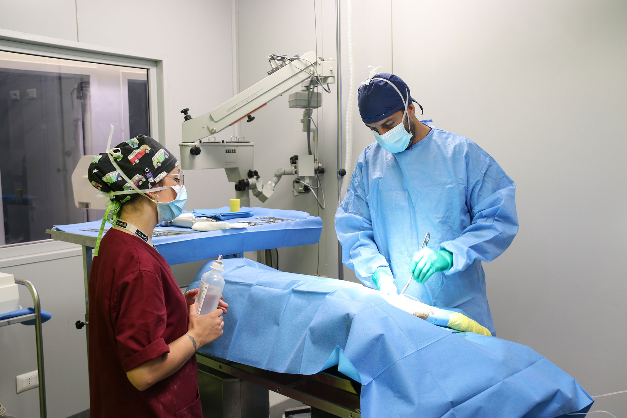 Chirurgia ortopedica presso la clinica veterinaria Himera