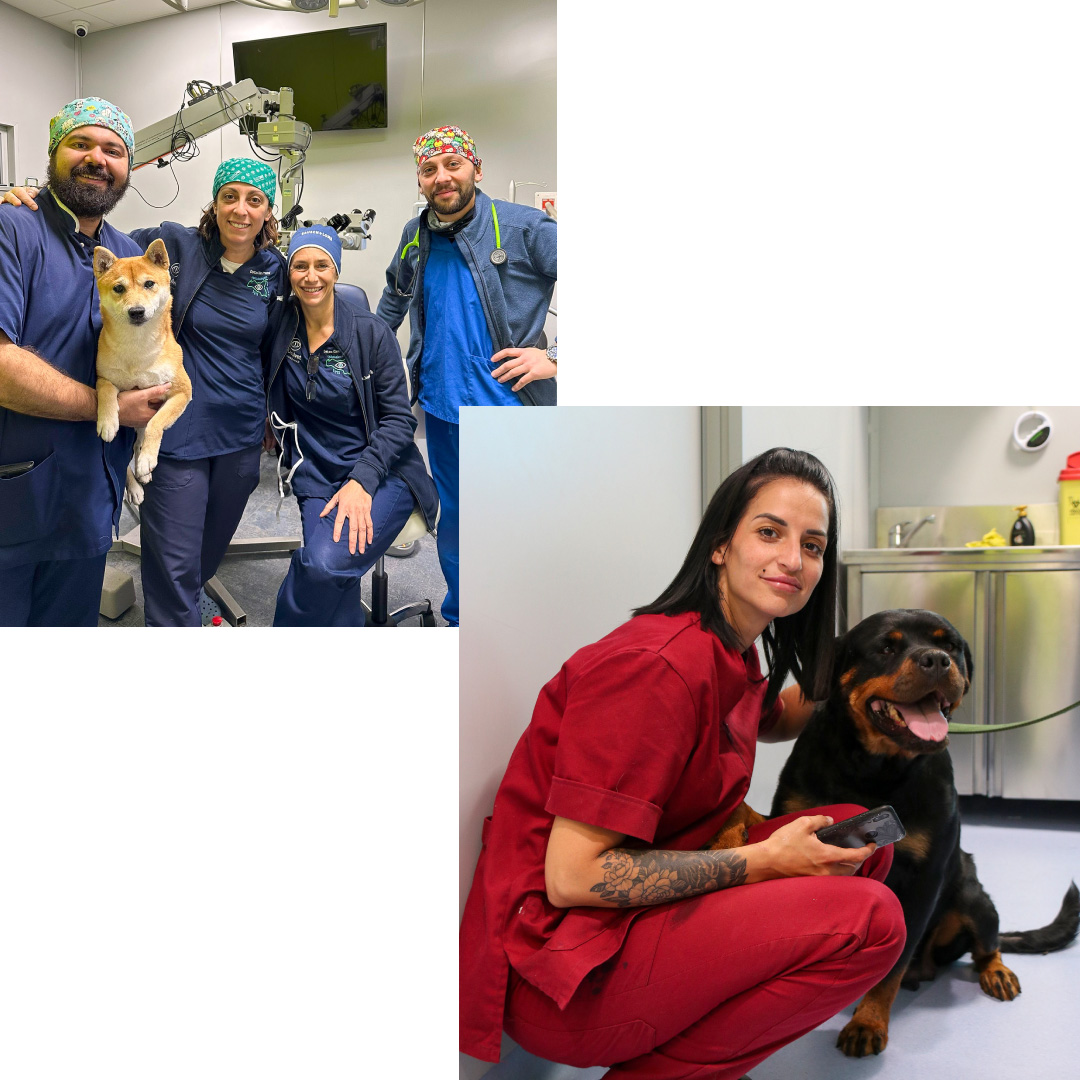 Team clinica veterinaria Himera